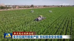 高度注沉粮食平安