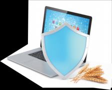 高质供给还不充实